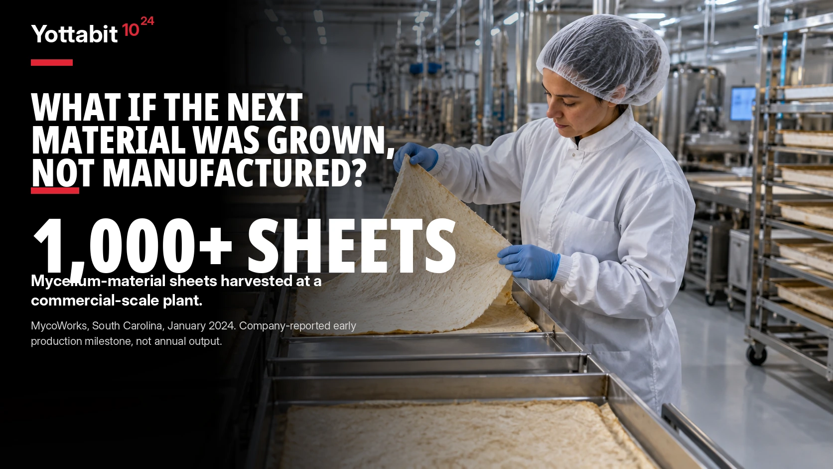 YottaBit visual summary for growing a material with fungi